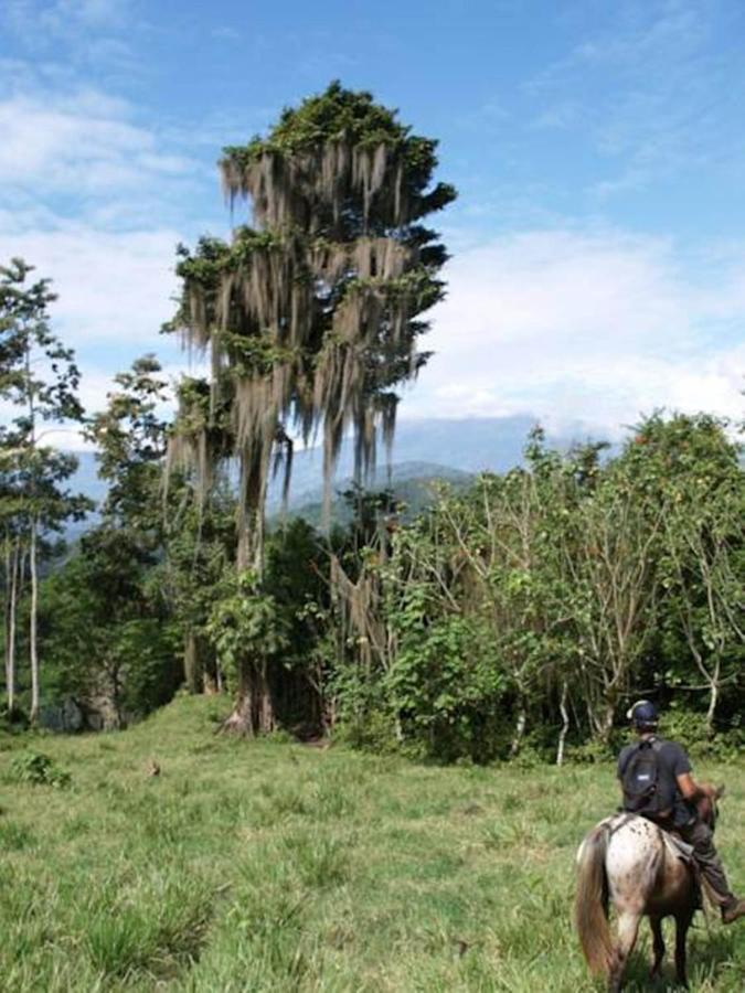 Hotel Hacienda Monteclaro Turrialba Zewnętrze zdjęcie