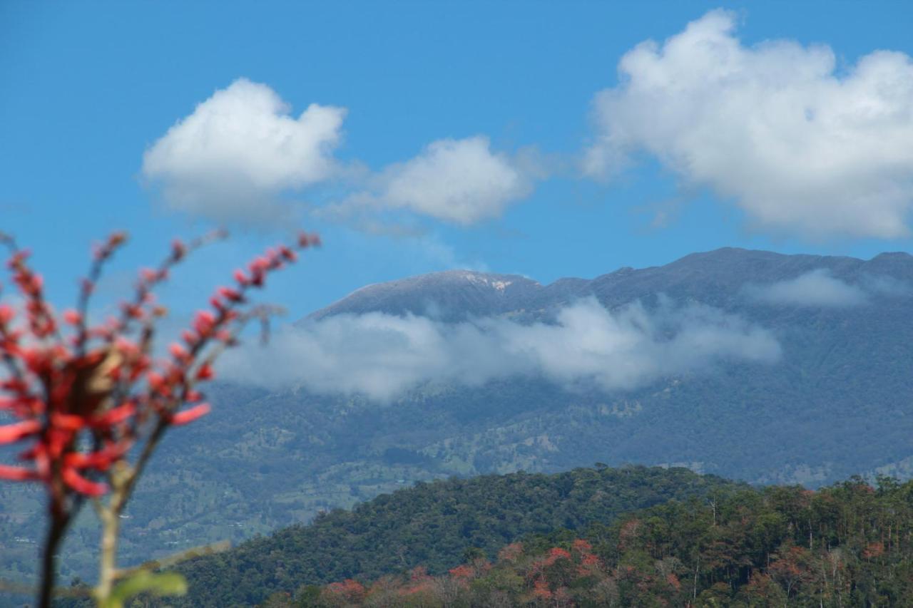 Hotel Hacienda Monteclaro Turrialba Pokój zdjęcie