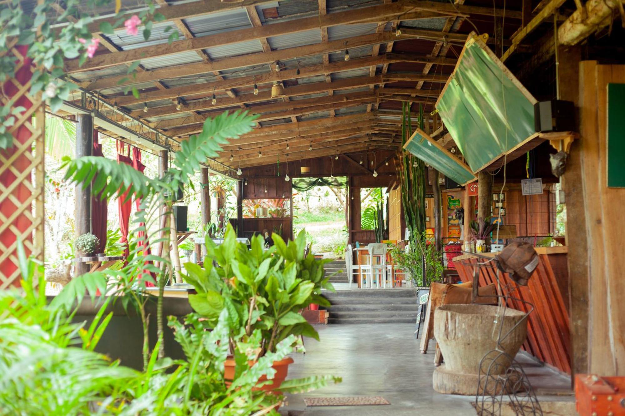 Hotel Hacienda Monteclaro Turrialba Zewnętrze zdjęcie