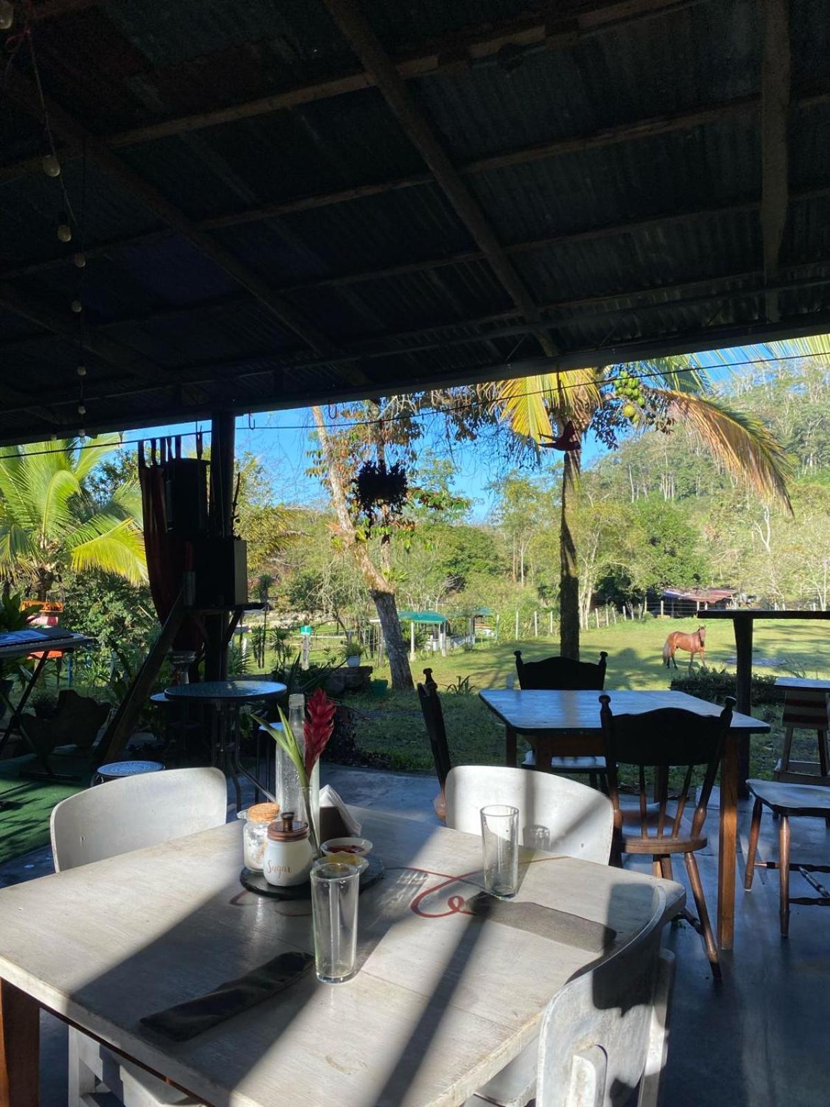 Hotel Hacienda Monteclaro Turrialba Zewnętrze zdjęcie