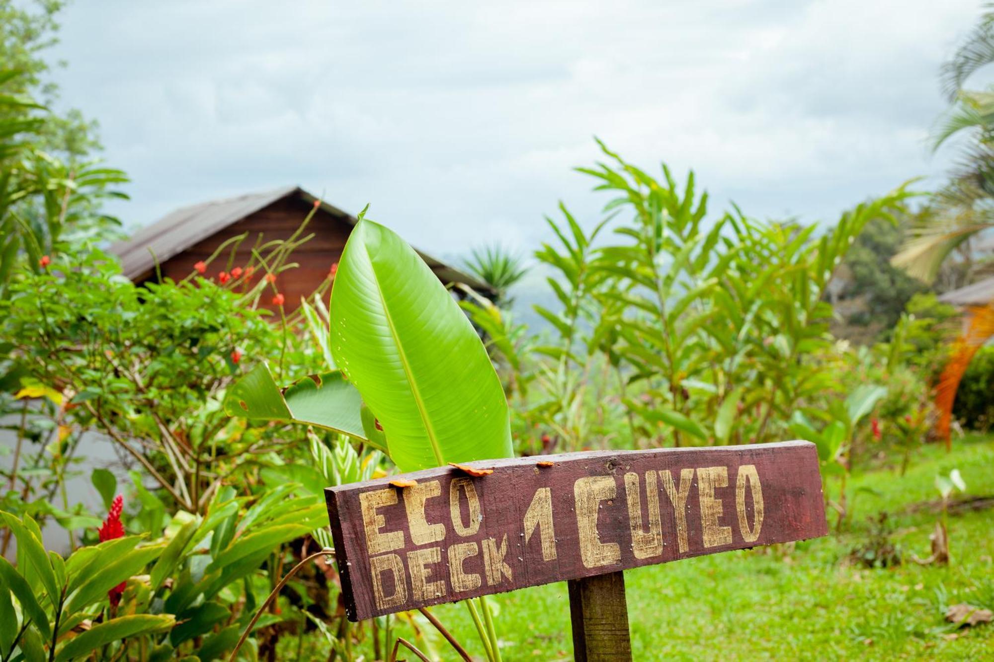Hotel Hacienda Monteclaro Turrialba Zewnętrze zdjęcie