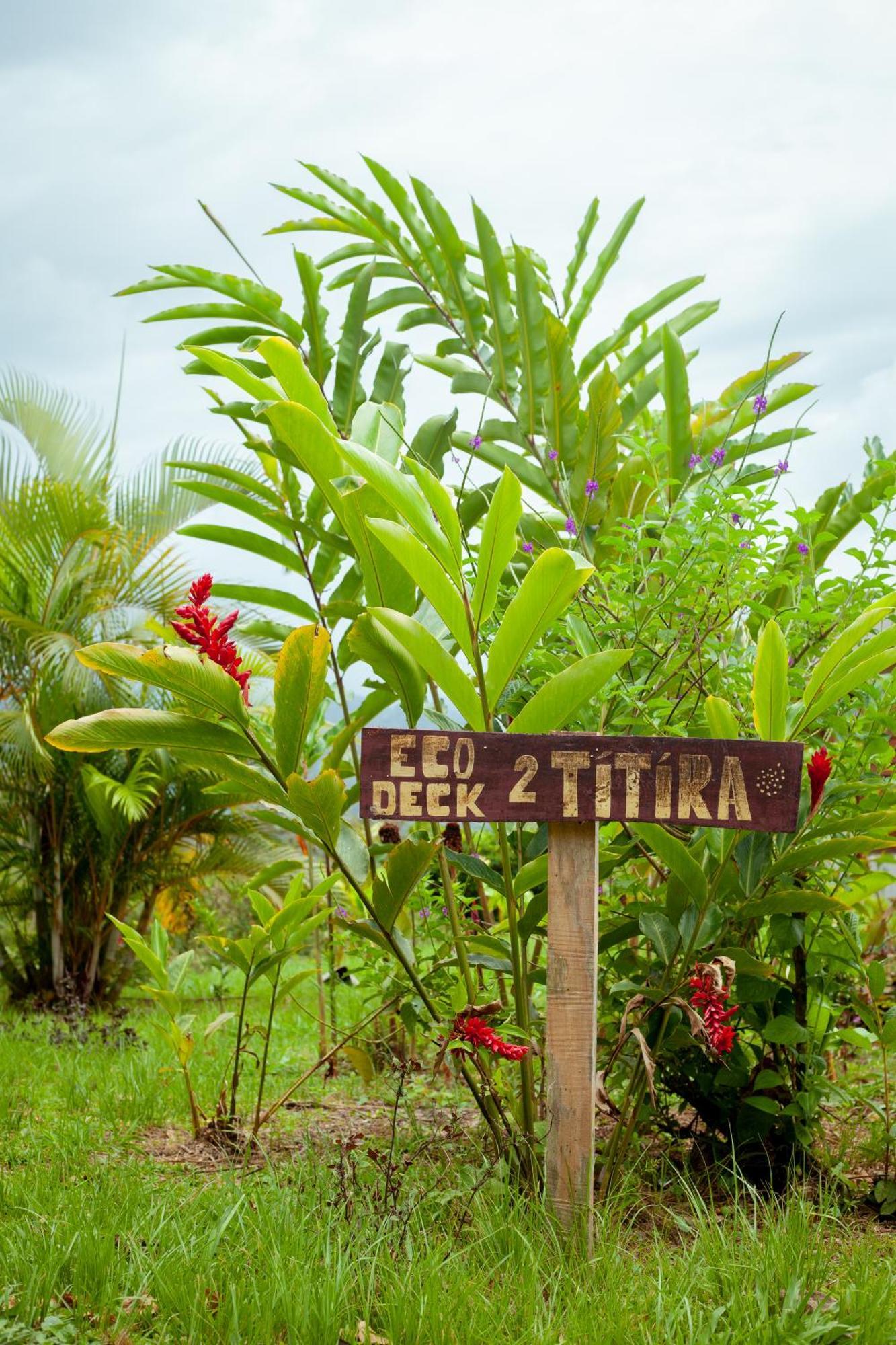 Hotel Hacienda Monteclaro Turrialba Zewnętrze zdjęcie